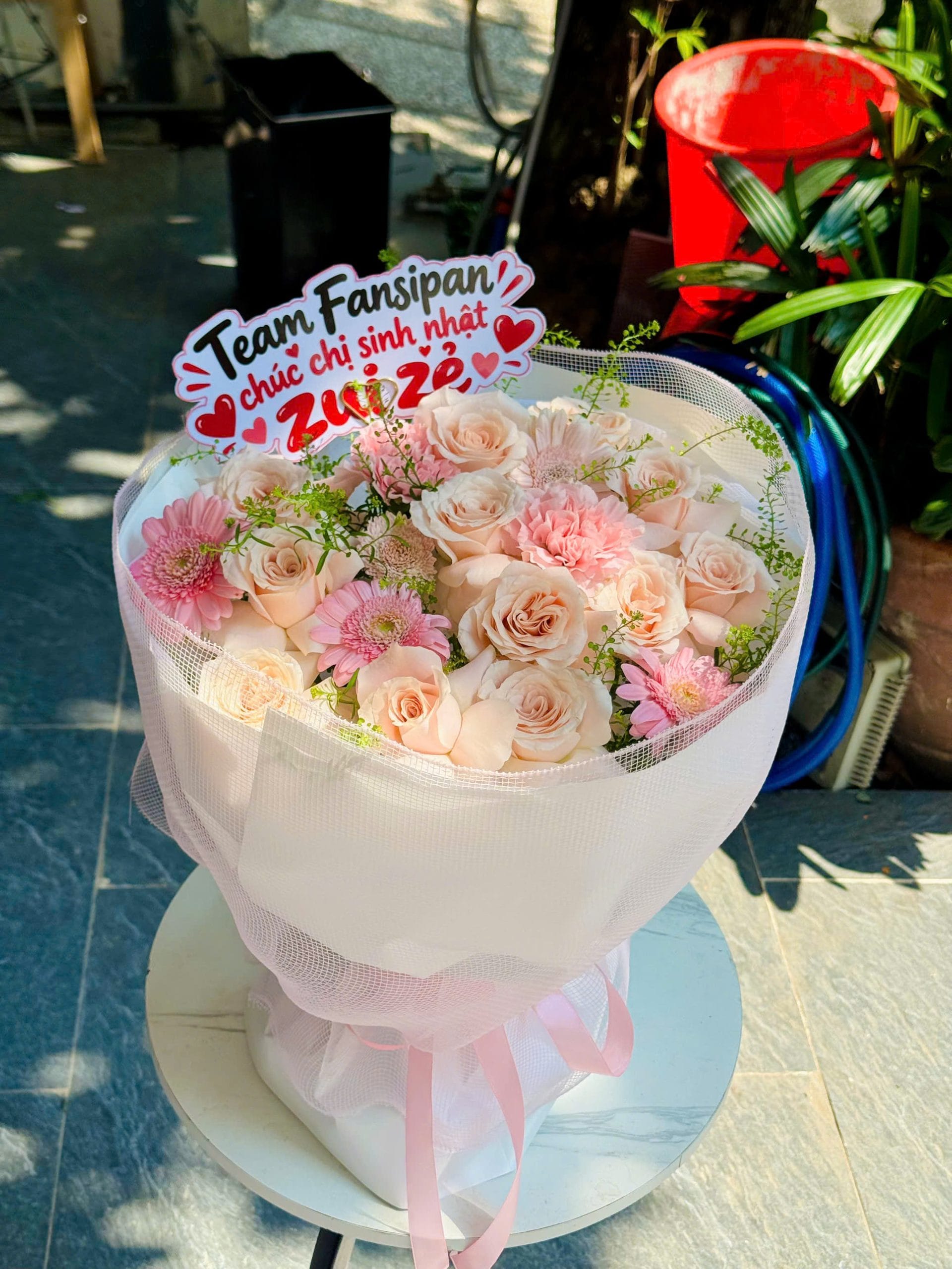 Blush Celebration – Bó Hoa Hồng Champagne